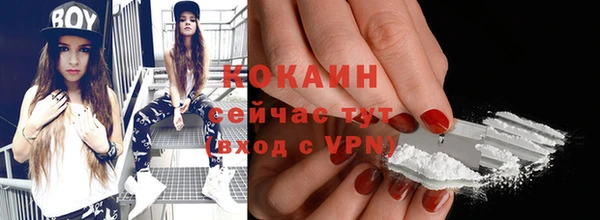гашик Новодвинск