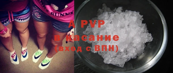 гашик Новодвинск