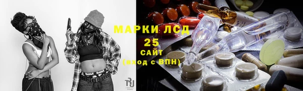 гашик Новодвинск