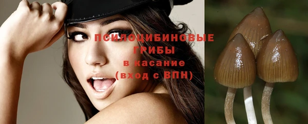 гидропоника Новозыбков