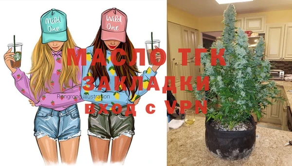 гашик Новодвинск