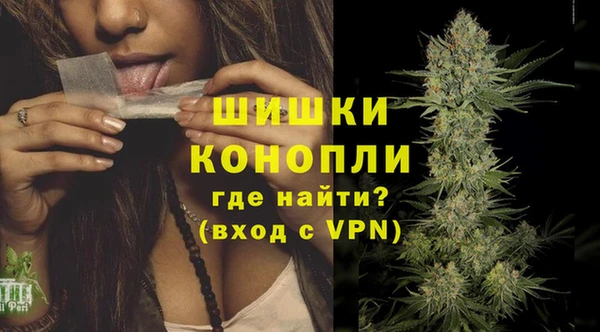 гидропоника Новозыбков