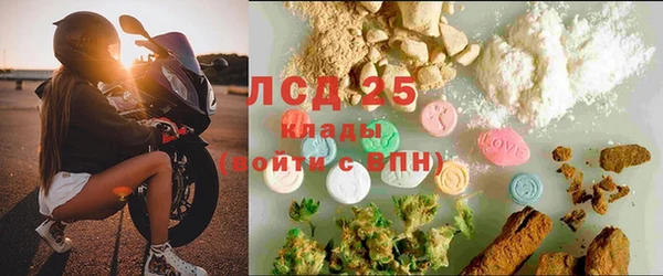 гашик Новодвинск