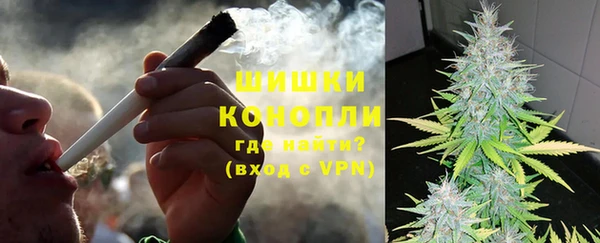 гашик Новодвинск
