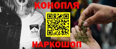 сатива Волжский