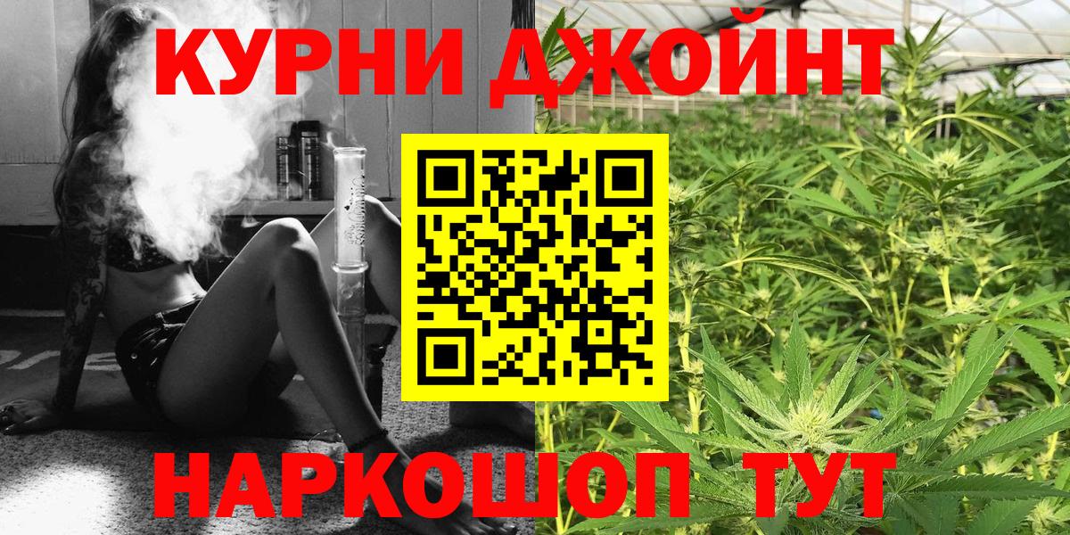 Канабис сатива Махачкала